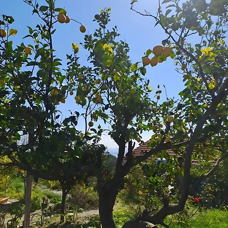 Palati * Kefalonia Island