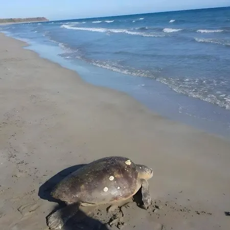 Palati Dom wakacyjny *