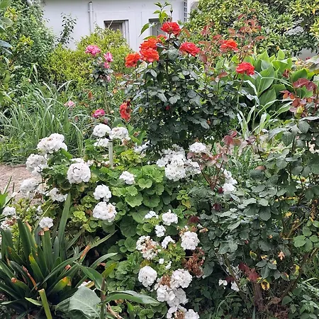 Holiday home Palati *