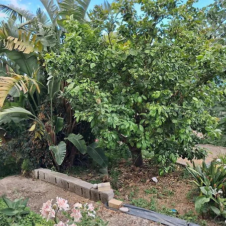 Holiday home Palati *